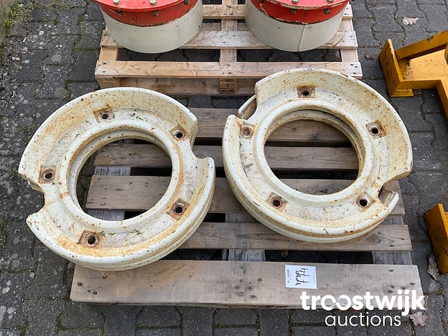 Wielgewicht - afbeelding 1 van  3