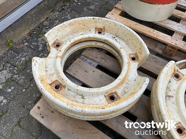 Wielgewicht - afbeelding 3 van  3
