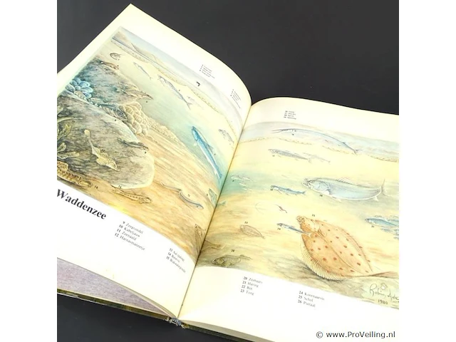 Wijs met de waddenzee - afbeelding 4 van  5