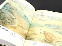 Wijs met de waddenzee - afbeelding 4 van  5