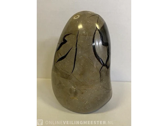Wilde septarie geode geel/bruin - afbeelding 4 van  8