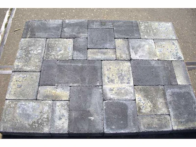 Wildverband (ca. 27m²) - afbeelding 3 van  3