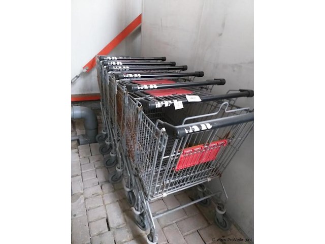 Winkelwagens - 10 x - afbeelding 1 van  3