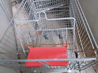 Winkelwagens - 10 x - afbeelding 3 van  3