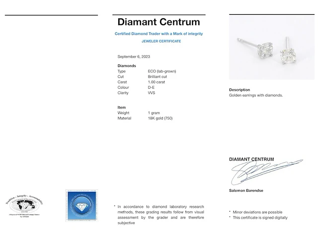 Witgouden diamanten oorbellen van 1.00 carat - afbeelding 3 van  8