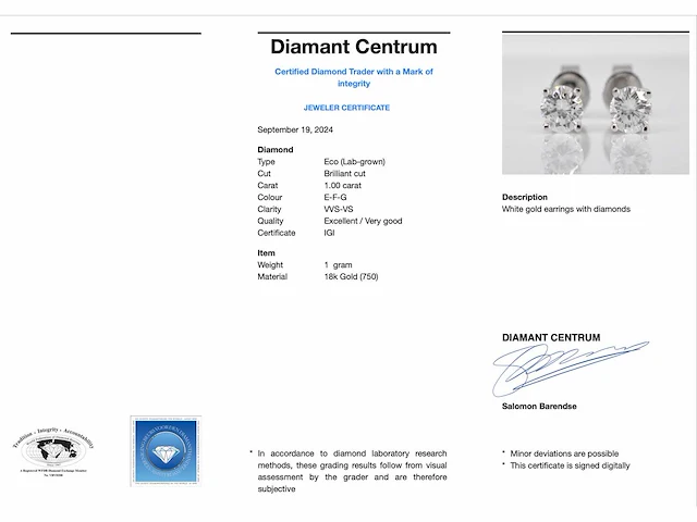 Witgouden diamanten oorbellen van 1.00 carat - afbeelding 3 van  5