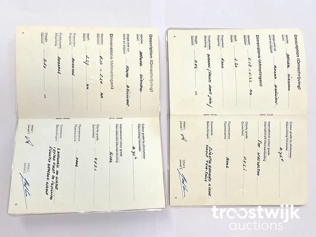 Witgouden diamanten oorbellen van 1.05 carat - afbeelding 5 van  6
