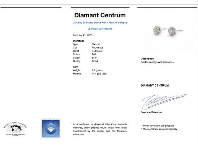Witgouden entourage oorbellen met diamant - afbeelding 3 van  7