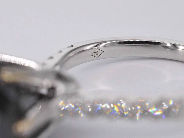 Witgouden entourage ring met grote diamanten en een zwarte diamant - afbeelding 11 van  11