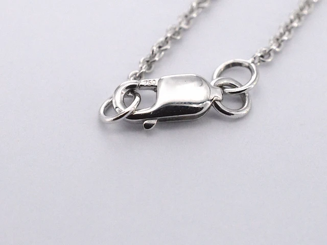 Witgouden halsketting met een diamant van 0.70 carat - afbeelding 4 van  6