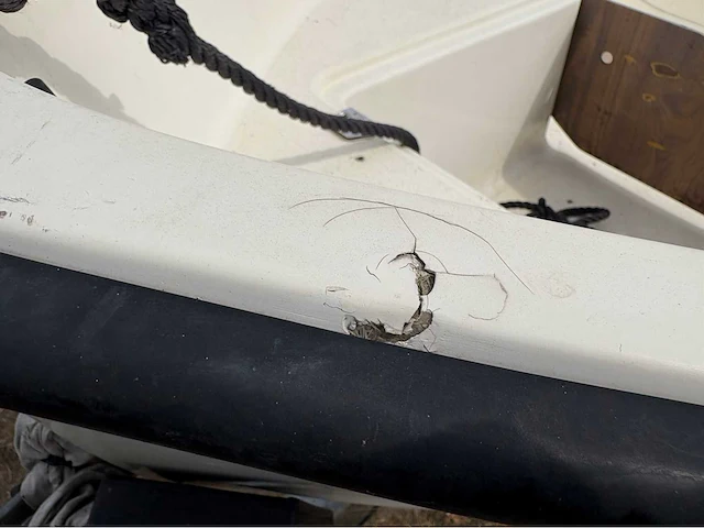 With dromedille 320 met suzuki dt9.9 & trailer - afbeelding 30 van  36