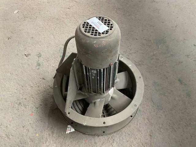 Witt & sohn fan - afbeelding 1 van  5