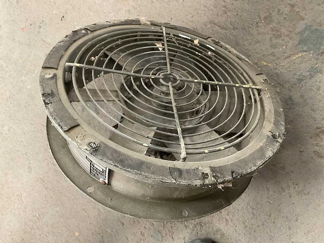 Witt & sohn fan - afbeelding 3 van  5