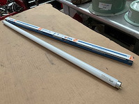 Wiva triphosphor t8 30w tl lamp (40x) - afbeelding 2 van  4