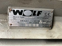 Wolf elektromotor (2x) - afbeelding 3 van  5