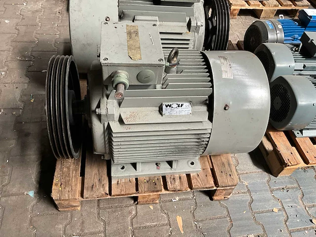 Wolf elektromotor (2x) - afbeelding 4 van  5