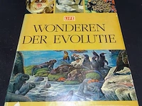 Wonderen der evolutie - afbeelding 1 van  5