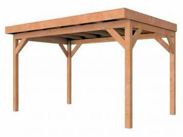 Woodvision - terrasoverkapping 400x270x245 cm - afbeelding 1 van  5