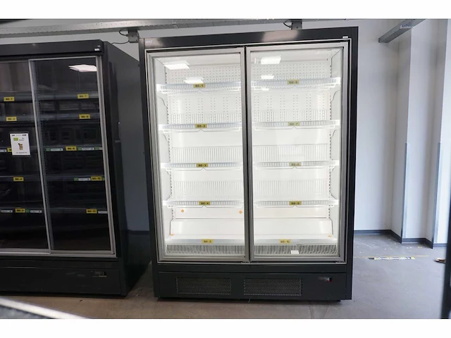Wsl - neptun-h plug in 2 doors 74 216 - freezer - afbeelding 1 van  6