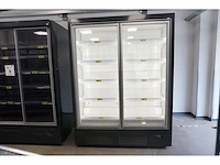 Wsl - neptun-h plug in 2 doors 74 216 - vriezer