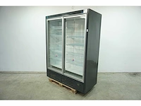 Wsl - neptun-h plug in 2 doors 74 216 - vriezer - afbeelding 1 van  9