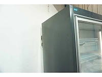 Wsl - neptun-h plug in 2 doors 74 216 - vriezer - afbeelding 4 van  9