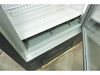 Wsl - neptun-h plug in 2 doors 74 216 - vriezer - afbeelding 8 van  9