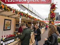 Www.festivalwijnen.nl