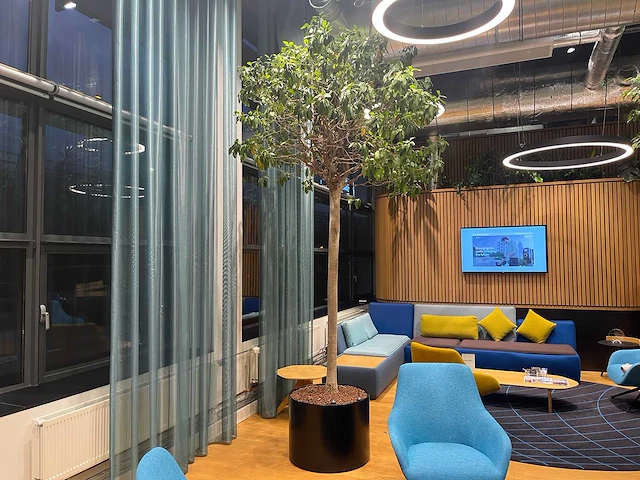 Xl boom in verrijdbare pot 380cm - afbeelding 1 van  5