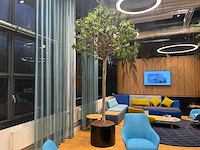 Xl boom in verrijdbare pot 380cm