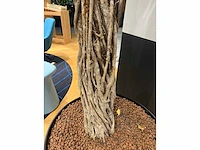 Xl boom in verrijdbare pot 380cm - afbeelding 5 van  9