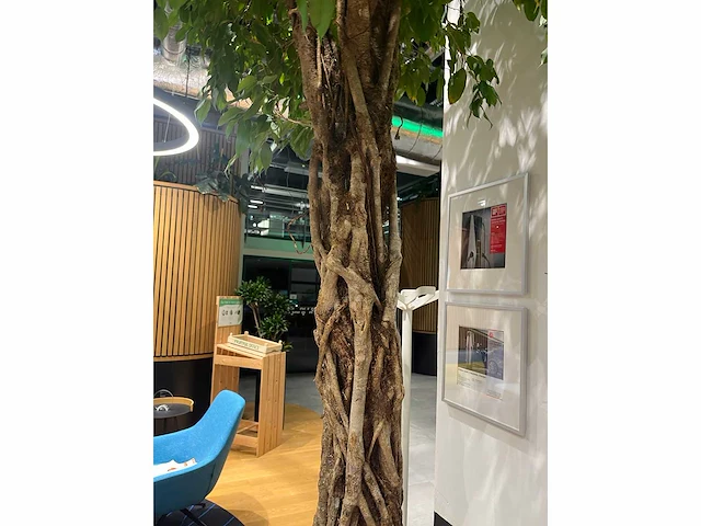 Xl boom in verrijdbare pot 380cm - afbeelding 6 van  9