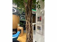 Xl boom in verrijdbare pot 380cm - afbeelding 6 van  9