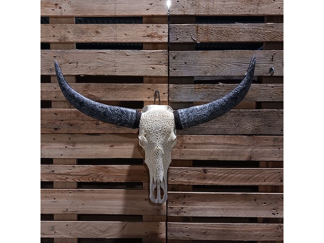 Xxl hand gegraveerde buffalo schedel, 2024 - afbeelding 1 van  9