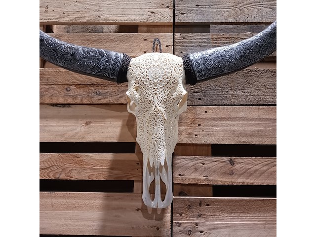 Xxl hand gegraveerde buffalo schedel, 2024 - afbeelding 2 van  9