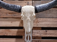 Xxl hand gegraveerde buffalo schedel, 2024 - afbeelding 2 van  9