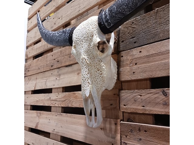 Xxl hand gegraveerde buffalo schedel, 2024 - afbeelding 3 van  9