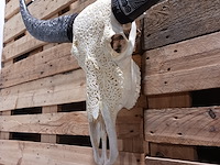 Xxl hand gegraveerde buffalo schedel, 2024 - afbeelding 3 van  9