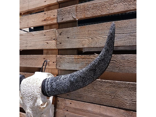 Xxl hand gegraveerde buffalo schedel, 2024 - afbeelding 4 van  9