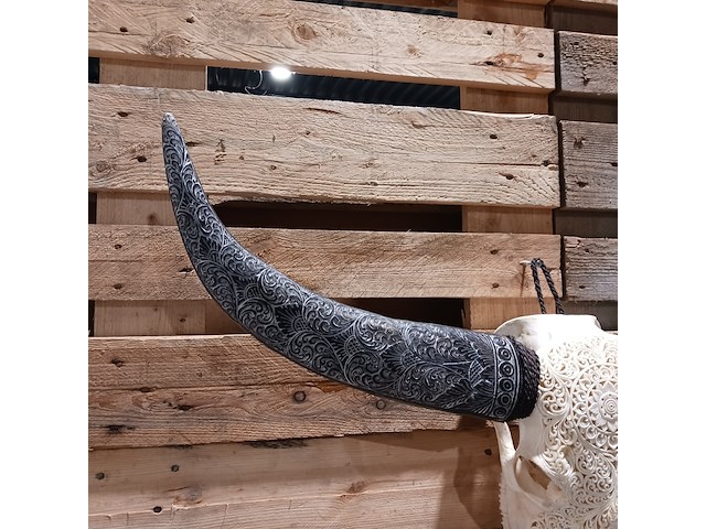 Xxl hand gegraveerde buffalo schedel, 2024 - afbeelding 5 van  9