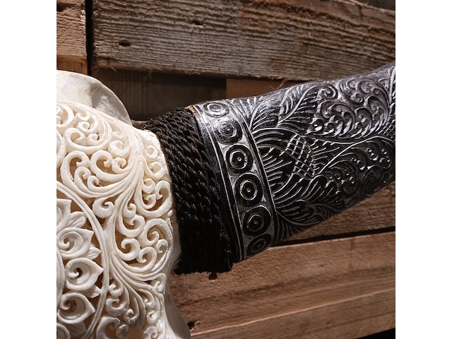 Xxl hand gegraveerde buffalo schedel, 2024 - afbeelding 6 van  9