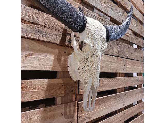 Xxl hand gegraveerde buffalo schedel, 2024 - afbeelding 8 van  9