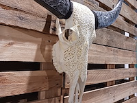 Xxl hand gegraveerde buffalo schedel, 2024 - afbeelding 8 van  9