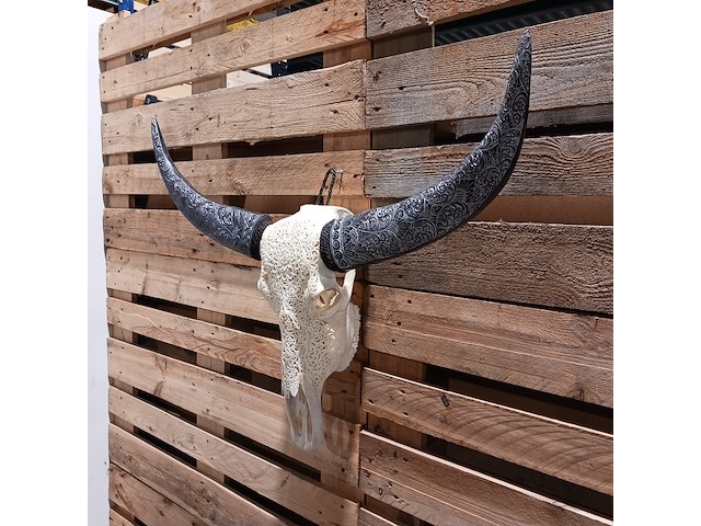 Xxl hand gegraveerde buffalo schedel, 2024 - afbeelding 9 van  9