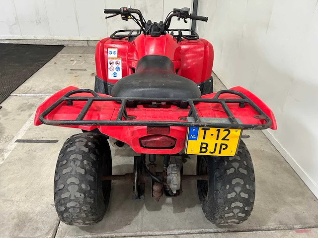 Yamaha - grizzly 300 - quad - afbeelding 2 van  16