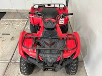 Yamaha - grizzly 300 - quad - afbeelding 4 van  16