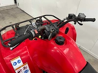 Yamaha - grizzly 300 - quad - afbeelding 7 van  16