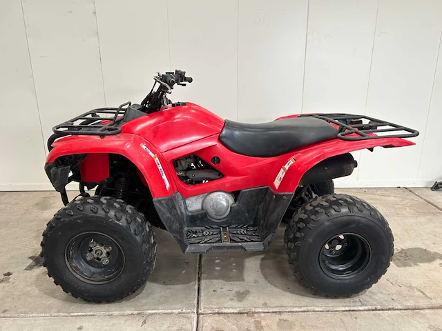 Yamaha - grizzly 300 - quad - afbeelding 11 van  16