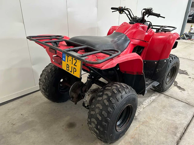 Yamaha - grizzly 300 - quad - afbeelding 15 van  16