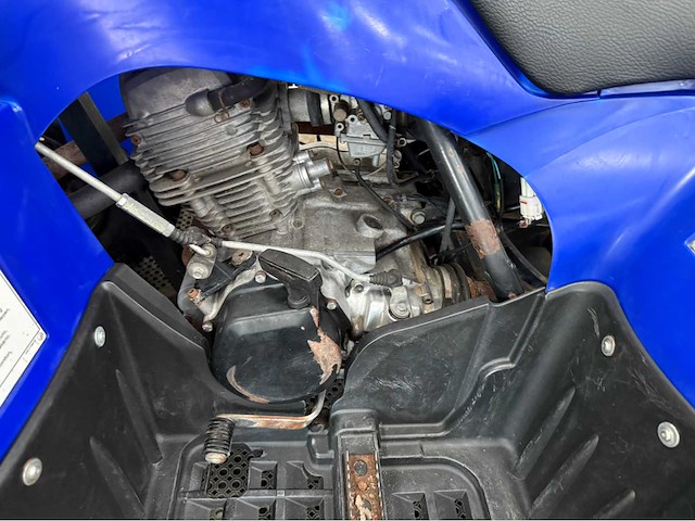 Yamaha - quad - 2010 - afbeelding 3 van  15